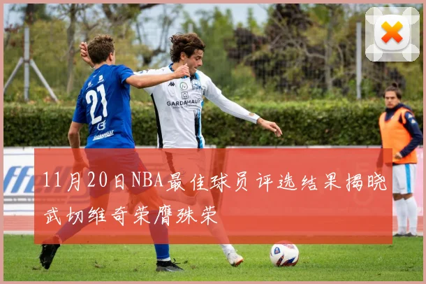11月20日NBA最佳球员评选结果揭晓武切维奇荣膺殊荣
