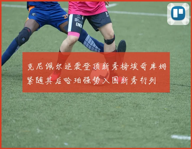 克尼佩尔逆袭登顶新秀榜埃奇库姆紧随其后哈珀强势入围新秀行列